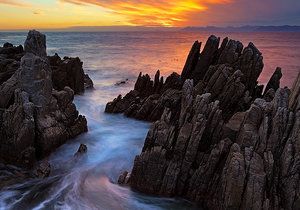 Photography Workshops