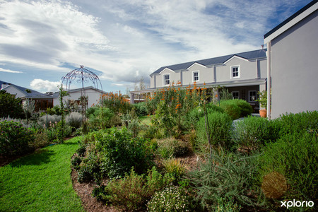 The_barefoot_connection_garden_from_scratch_1527508770_1554361384