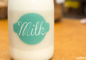 5 Interesting Facts About Milk