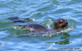 Marine Big 5 Tour, 30 March 2018