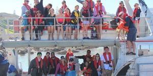 marine_dynamics_shark_cage_diving_1555051199