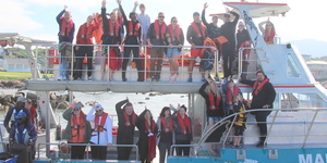 marine_dynamics_shark_cage_diving_experience_1555051198