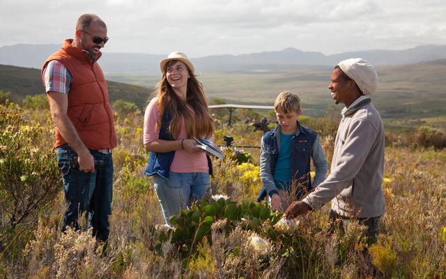 grootbos_private_nature_reserve_fynbos_1555065416