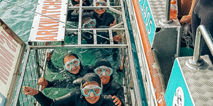 Villa The Cherry - Shark Cage Diving in Gansbaai