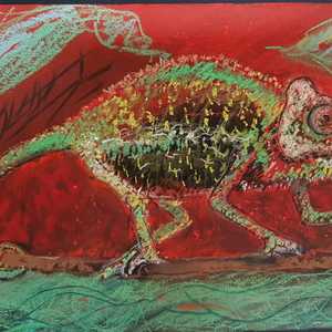 Stanford Artist - Sara Abbott - Chameleon