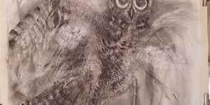 Stanford Artist - Sara Abbott - Charcoal Drawings