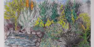 Stanford Artist - Sara Abbott - Pastels