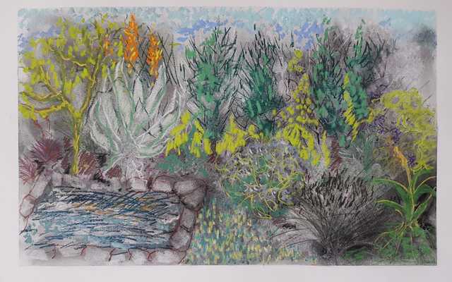 Stanford Artist - Sara Abbott - Pastels