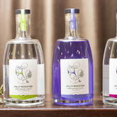Stanford - Jolly Rooster - Citrus, Purple Haze and Rust Gin