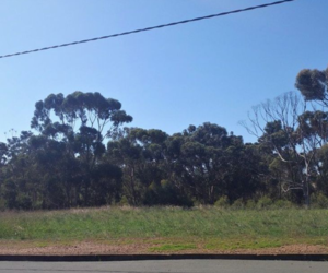 1,477mÂ² Vacant Land For Sale in Bredasdorp