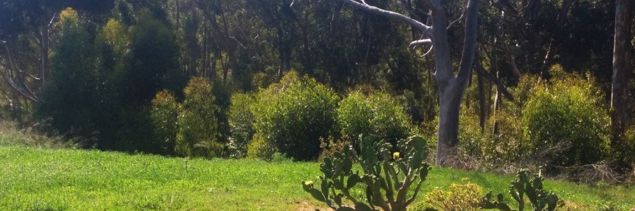 Seeff Bredasdorp - Large Plot For Sale