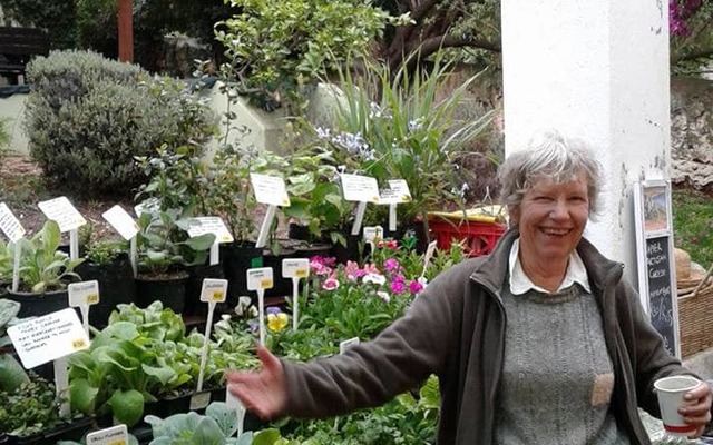 Napier Saturday Village Market - Plants & Herbs