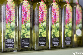 Freshest Farm Produce & Products