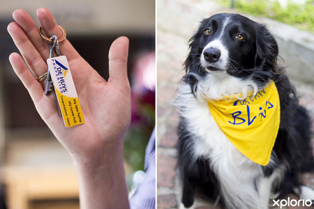 bredasdorp_real_estate_de_huys_properties_new_hom_key_blits_assistant_1556439751