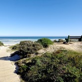 Seeff Pearly Beach - Whale Watching