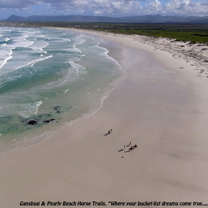 Gansbaai & Pearly Beach Horse Trails