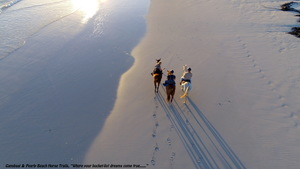 WIN a Premium Beach or Mountain Fynbos Trail