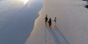 Gansbaai & Pearly Beach Horse Trails