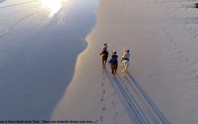 Gansbaai & Pearly Beach Horse Trails