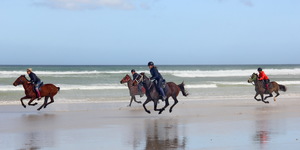 Gansbaai & Pearly Beach Horse Trails