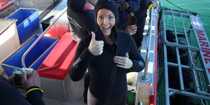 Gansbaai - Marine Dynamics - Shark Cage Diving