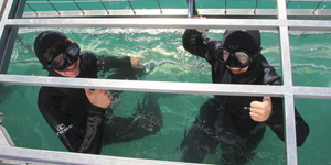 Gansbaai - Marine Dynamics - Shark Cage Diving