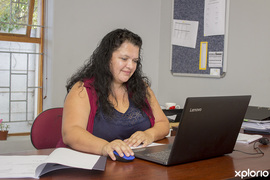 Chartered Accountant Services