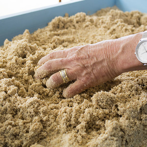 Pringle Bay - Greer Salt Psychological Counselling - sandplay