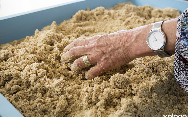 Pringle Bay - Greer Salt Psychological Counselling - sandplay