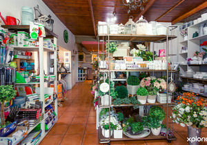 Coffee Shoppe - Homeware - Gifts