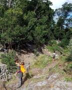 Living as a community at Goodwill Mountain Farm