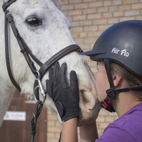 Bredasdorp - Pony Pals - Therapeutic Sessions