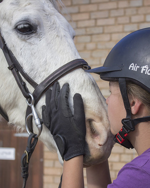 bredasdorp_horse_riding_pony_pals_therapeutic_sessions_1557911394