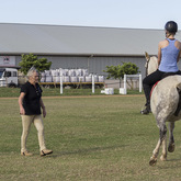 Bredasdorp - Pony Pals - Training