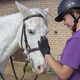 Bredasdorp - Pony Pals - Scholar Programs