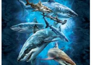 Product List | T-shirts | Shark Themed