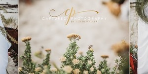 Gansbaai & Pearly Beach Horse Trails