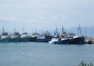 Front Page - Druk Feestyd verwag