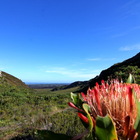 Gansbaai & Pearly Beach Horse Trails - Views