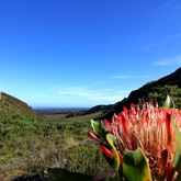 Gansbaai & Pearly Beach Horse Trails - Views