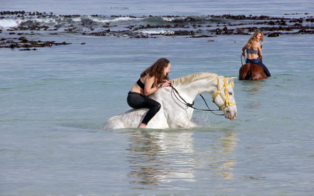 Gansbaai & Pearly Beach Horse Trails