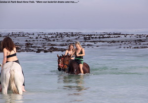 And the Winner is...!