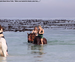 And the Winner is...!