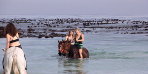 Gansbaai & Pearly Beach Horse Trails