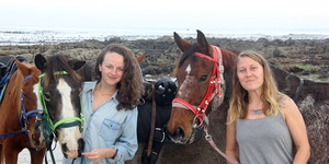 Gansbaai & Pearly Beach Horse Trails