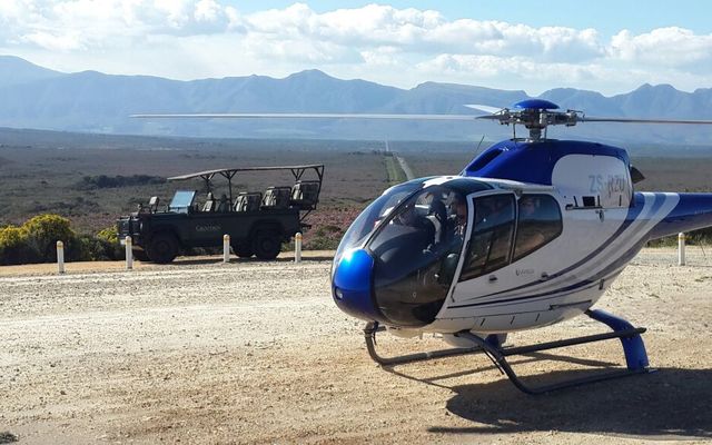 side_view_1505206433_1559550251