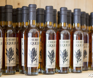 Beeswax & Raw Honey Products