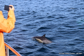 Welcome to Whale Season 2019....