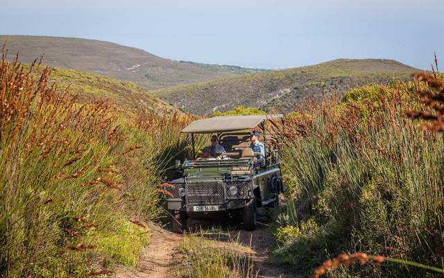 grootbos_private_nature_reserve_botanical_tour_2_1560236041