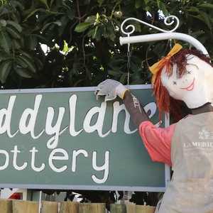 napier_muddylane_1560261577